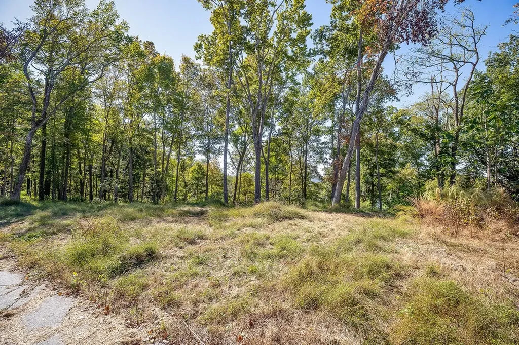 00 Back Ranch Drive Silver Point TN 38582