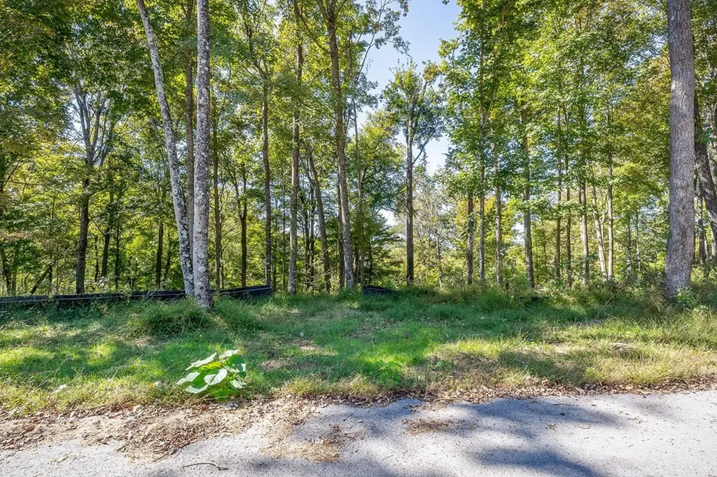 00 Back Ranch Drive Silver Point TN 38582