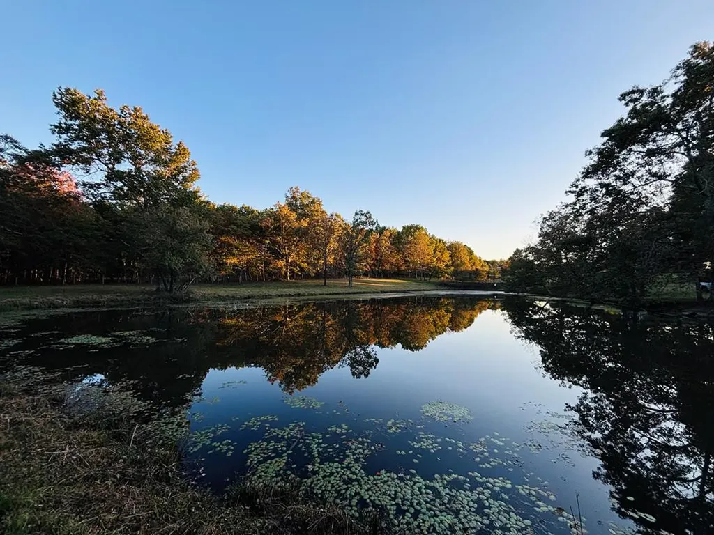 384 Miller Court Crossville TN 38571-2387