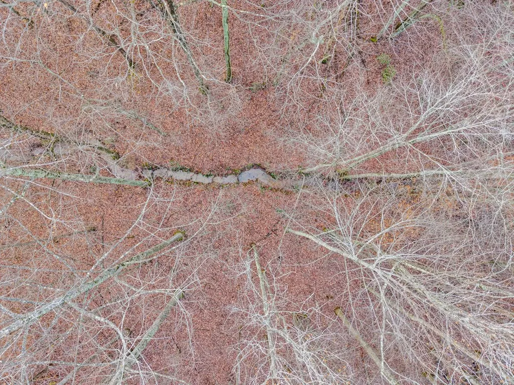 170 Perrigan Lane Sparta TN 38583