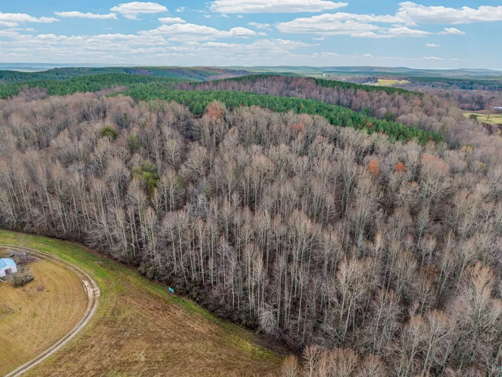 170 Perrigan Lane Sparta TN 38583