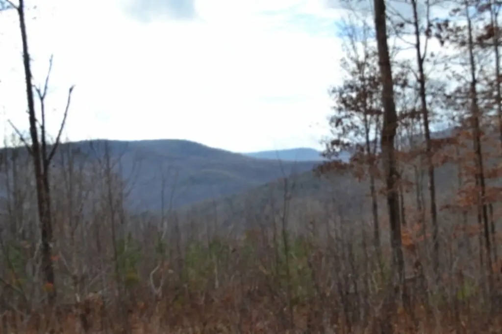 Lot 75 Tomahawk Road Jamestown TN 38556