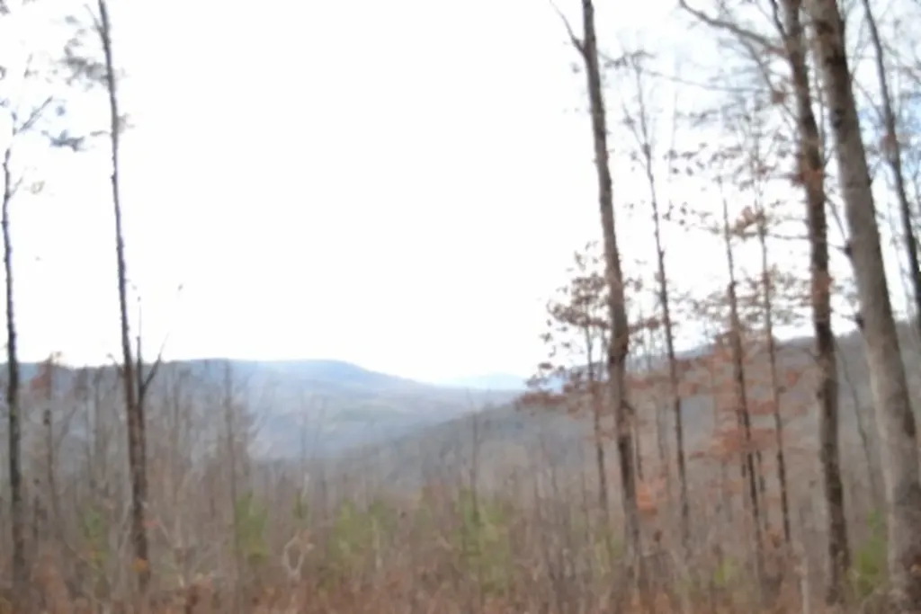 Lot 75 Tomahawk Road Jamestown TN 38556