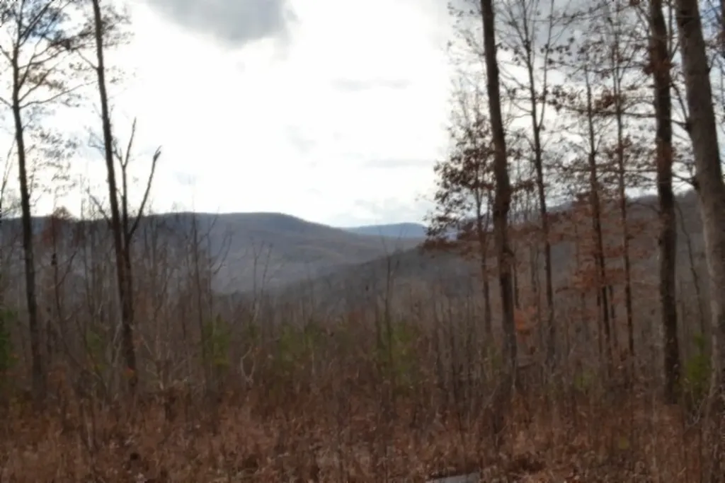 Lot 75 Tomahawk Road Jamestown TN 38556