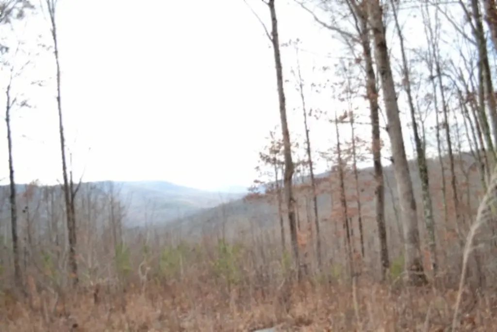Lot 75 Tomahawk Road Jamestown TN 38556