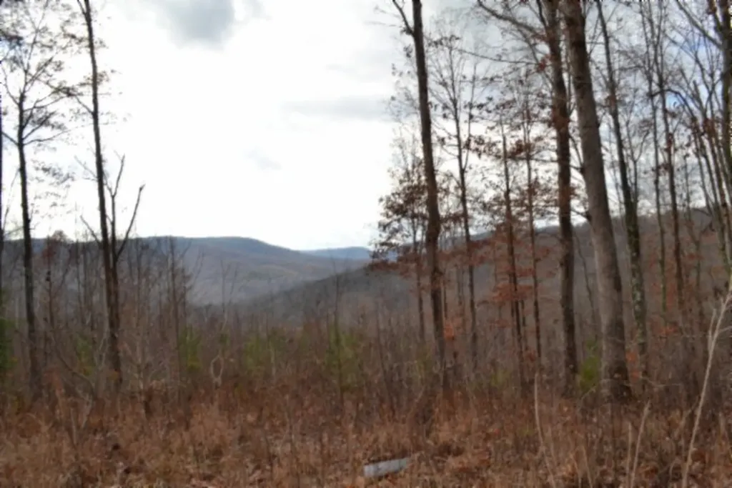 Lot 75 Tomahawk Road Jamestown TN 38556