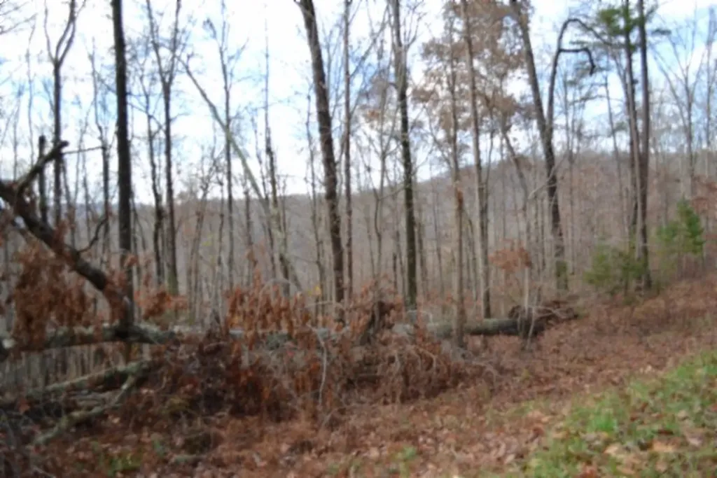 Lot 75 Tomahawk Road Jamestown TN 38556