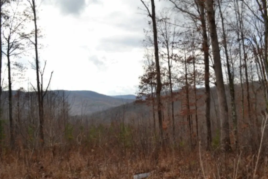 Lot 75 Tomahawk Road Jamestown TN 38556