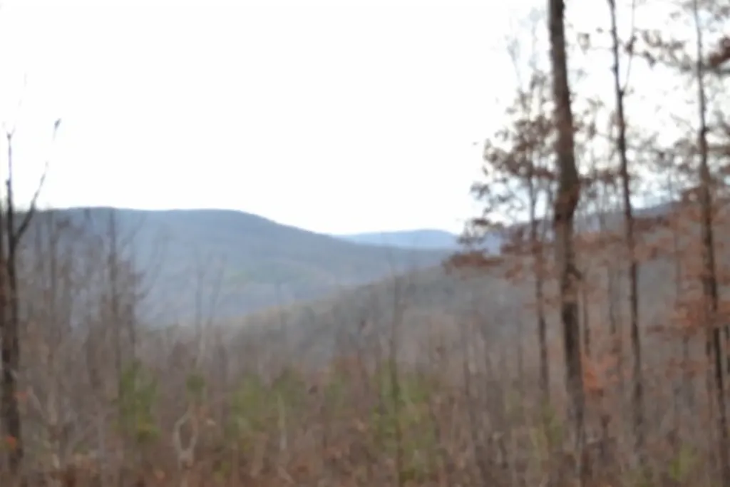 Lot 75 Tomahawk Road Jamestown TN 38556