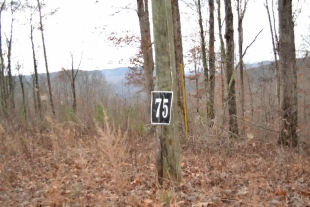Lot 75 Tomahawk Road Jamestown TN 38556