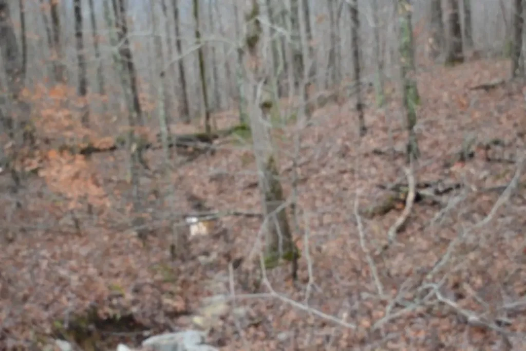 Lot 75 Tomahawk Road Jamestown TN 38556