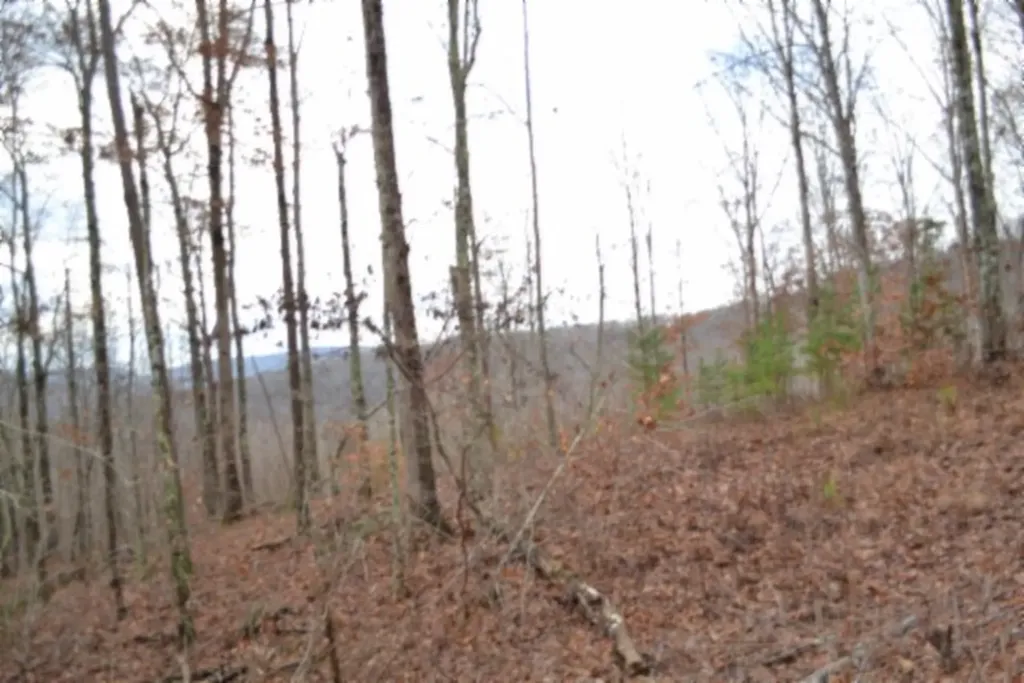 Lot 75 Tomahawk Road Jamestown TN 38556