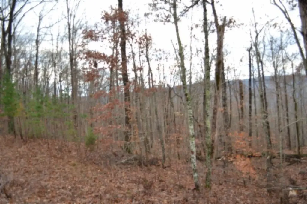 Lot 75 Tomahawk Road Jamestown TN 38556
