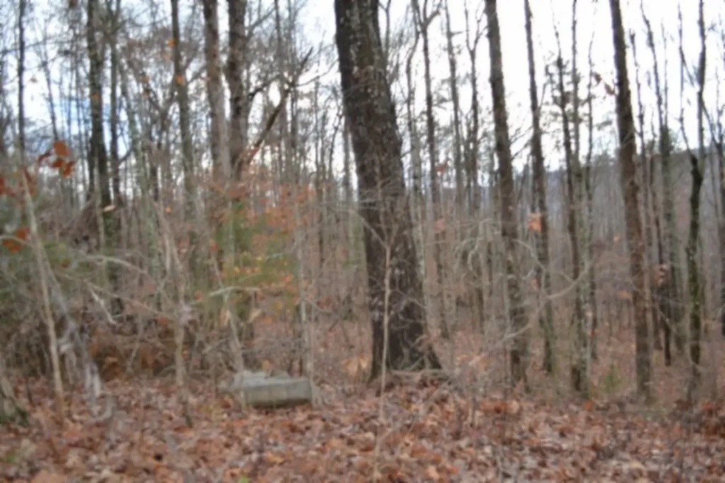 Lot 75 Tomahawk Road Jamestown TN 38556