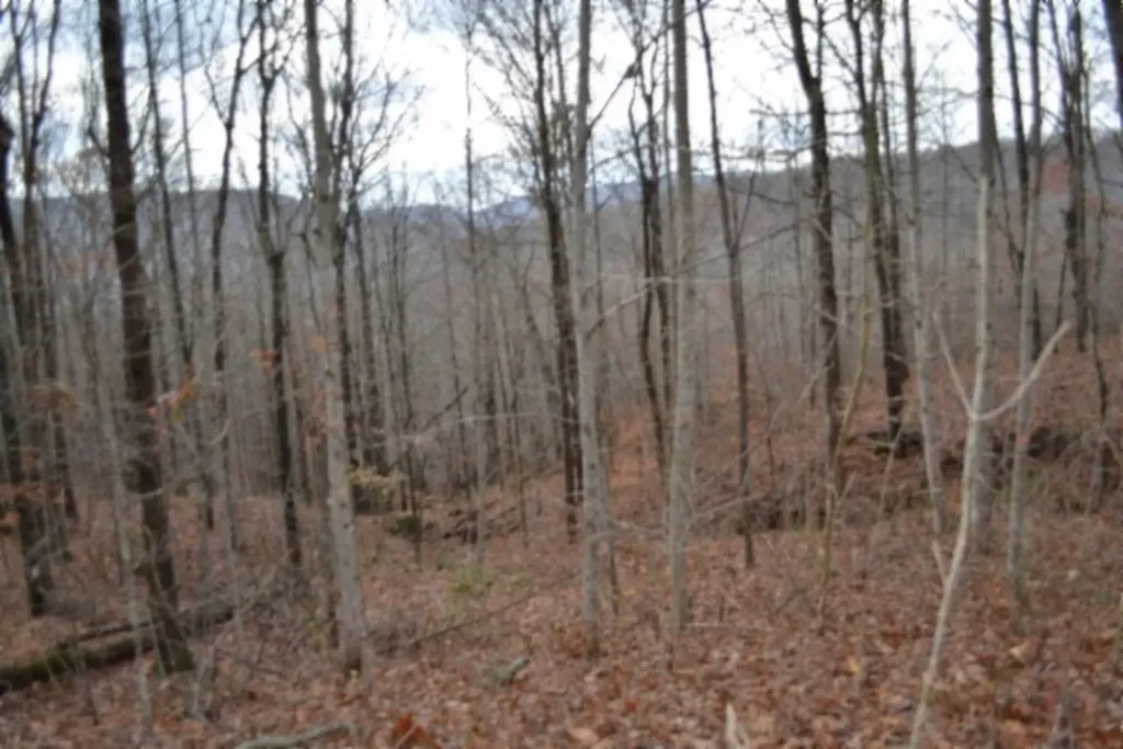 Lot 75 Tomahawk Road Jamestown TN 38556