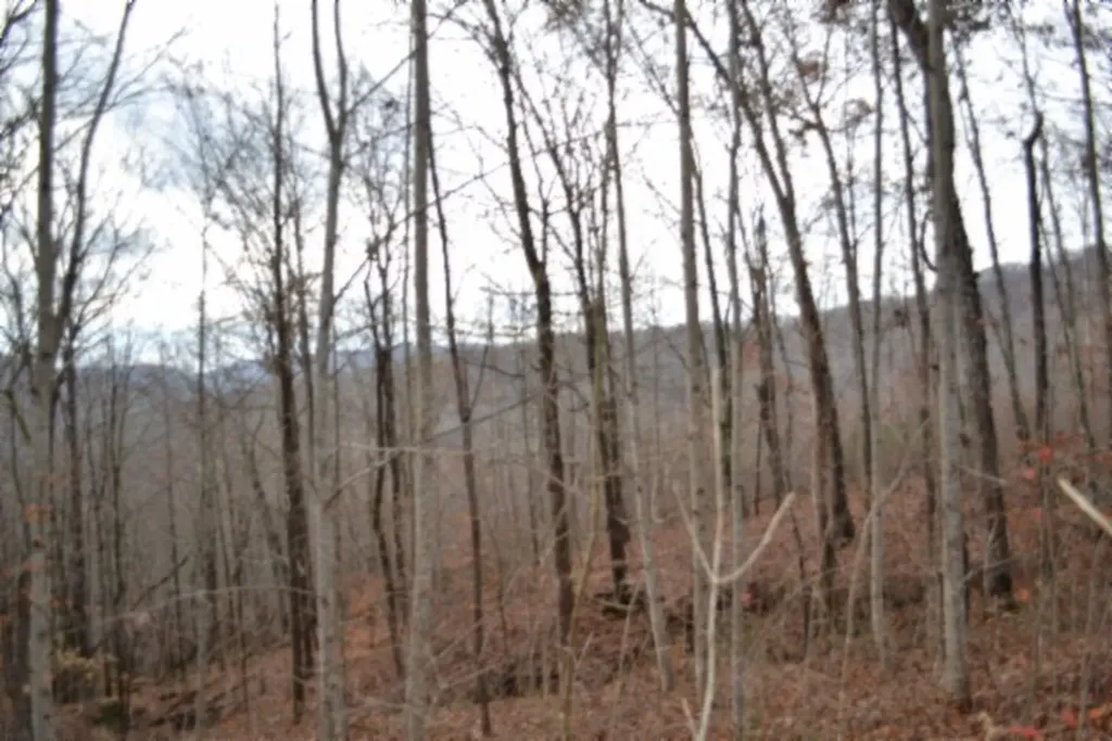 Lot 75 Tomahawk Road Jamestown TN 38556