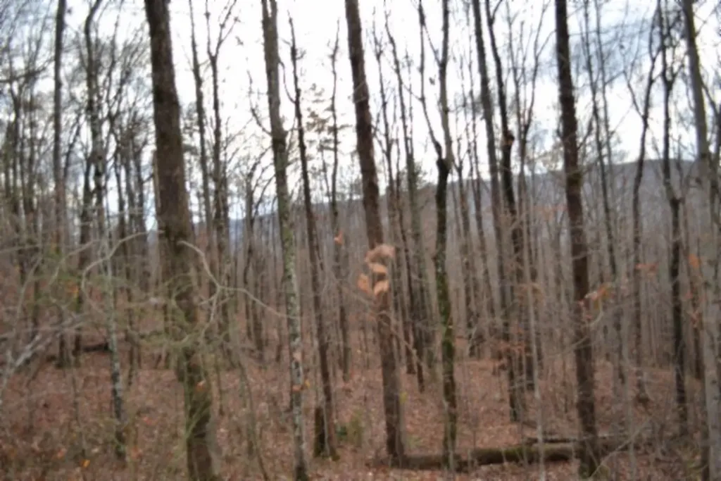 Lot 75 Tomahawk Road Jamestown TN 38556