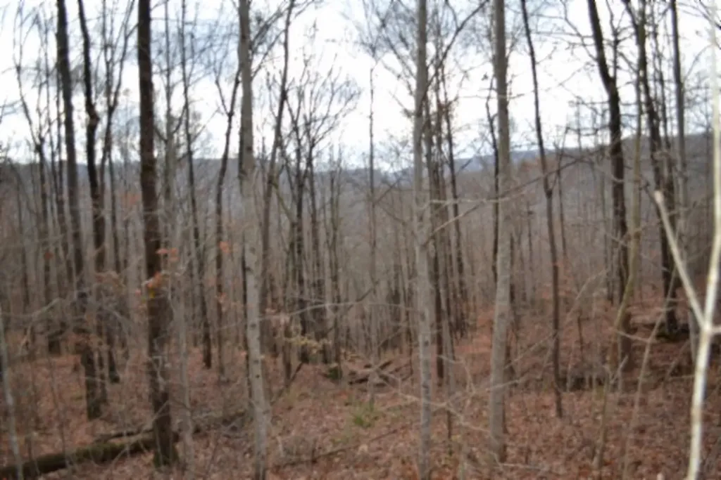 Lot 75 Tomahawk Road Jamestown TN 38556