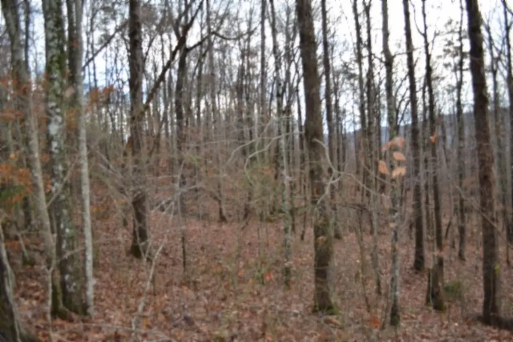 Lot 75 Tomahawk Road Jamestown TN 38556