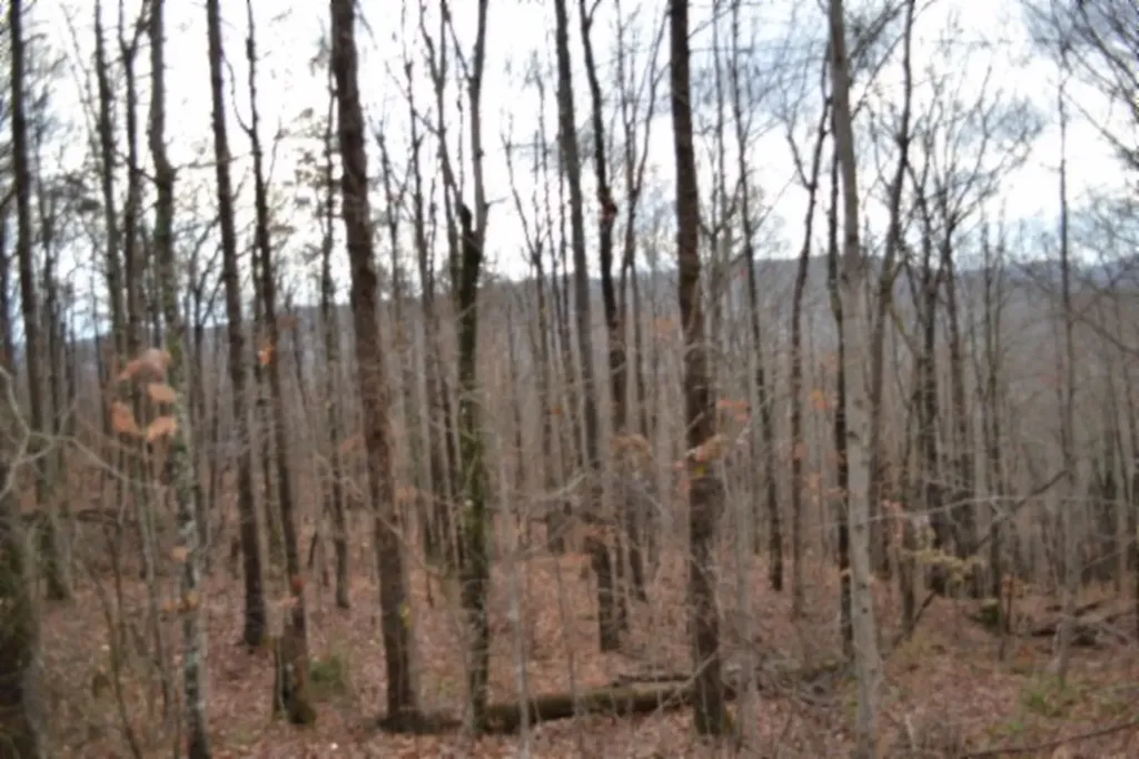 Lot 75 Tomahawk Road Jamestown TN 38556