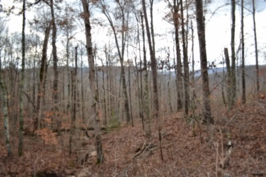 Lot 75 Tomahawk Road Jamestown TN 38556