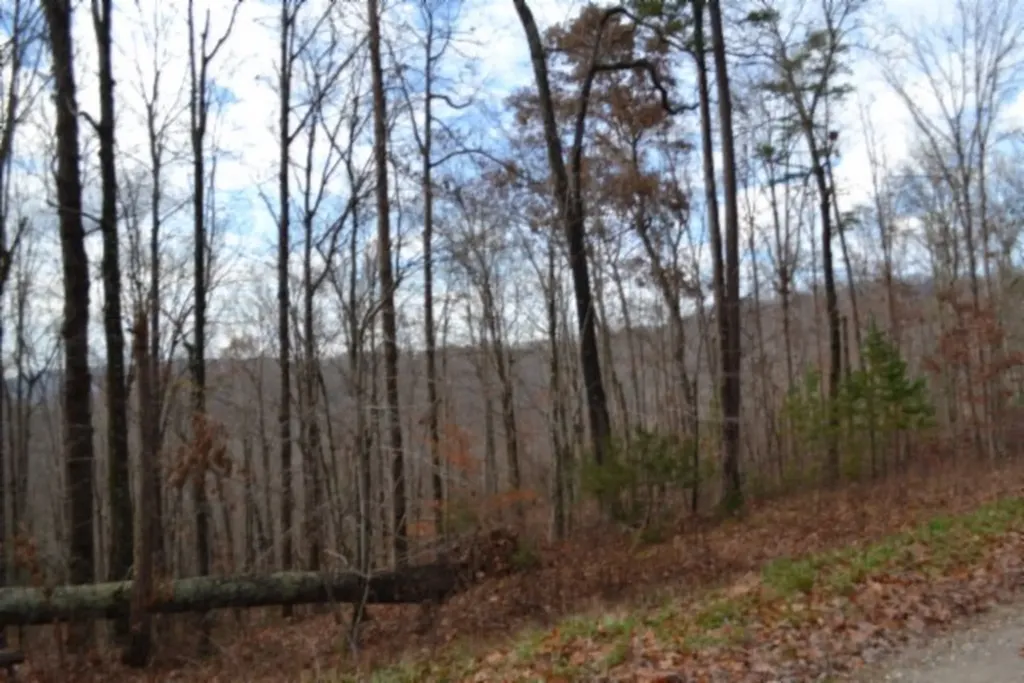 Lot 75 Tomahawk Road Jamestown TN 38556
