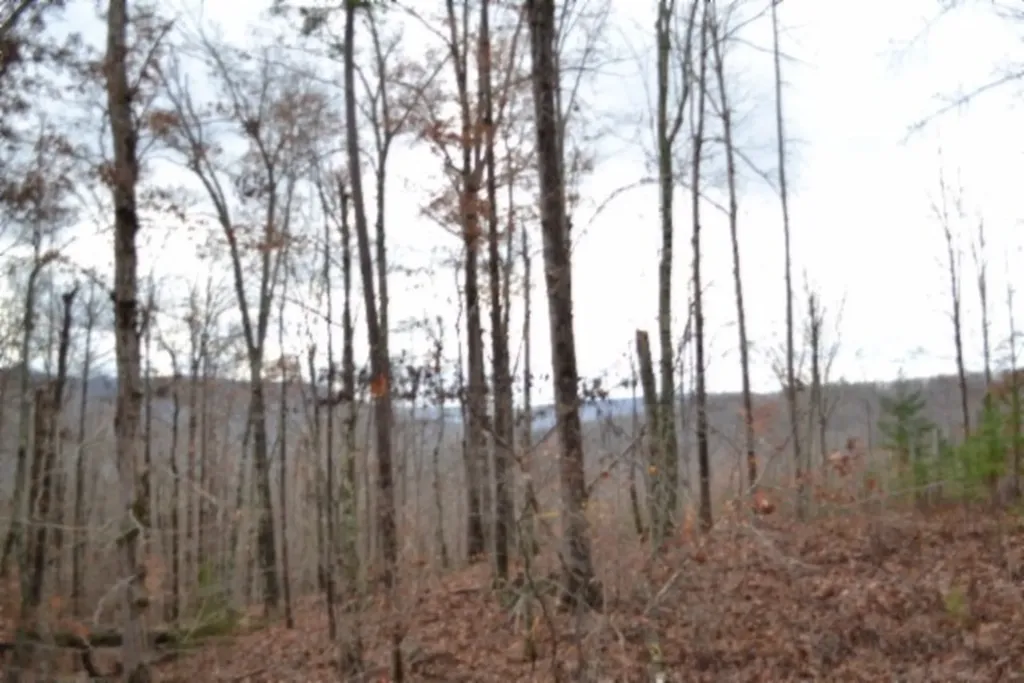 Lot 75 Tomahawk Road Jamestown TN 38556