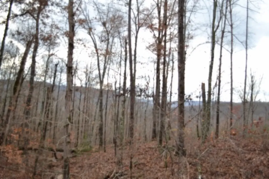 Lot 75 Tomahawk Road Jamestown TN 38556