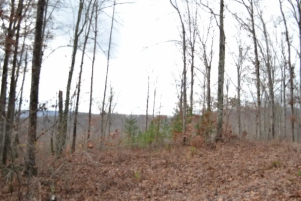 Lot 75 Tomahawk Road Jamestown TN 38556