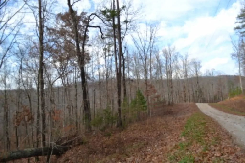 Lot 75 Tomahawk Road Jamestown TN 38556