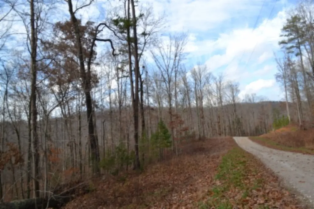 Lot 75 Tomahawk Road Jamestown TN 38556