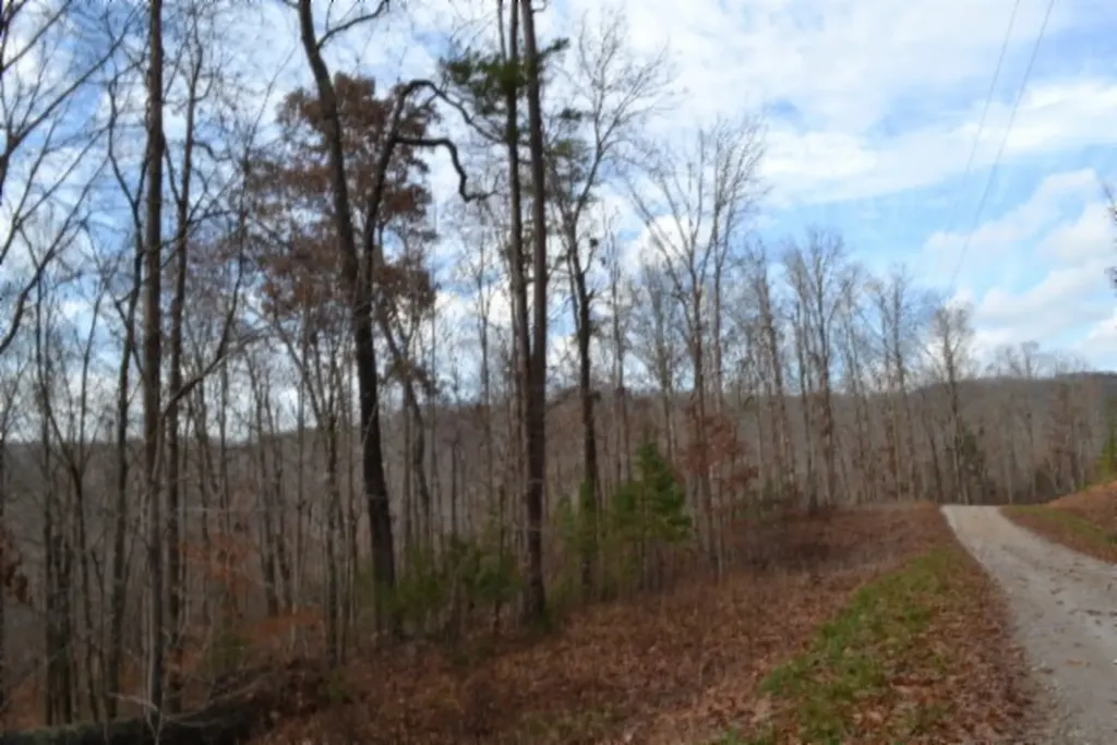 Lot 75 Tomahawk Road Jamestown TN 38556
