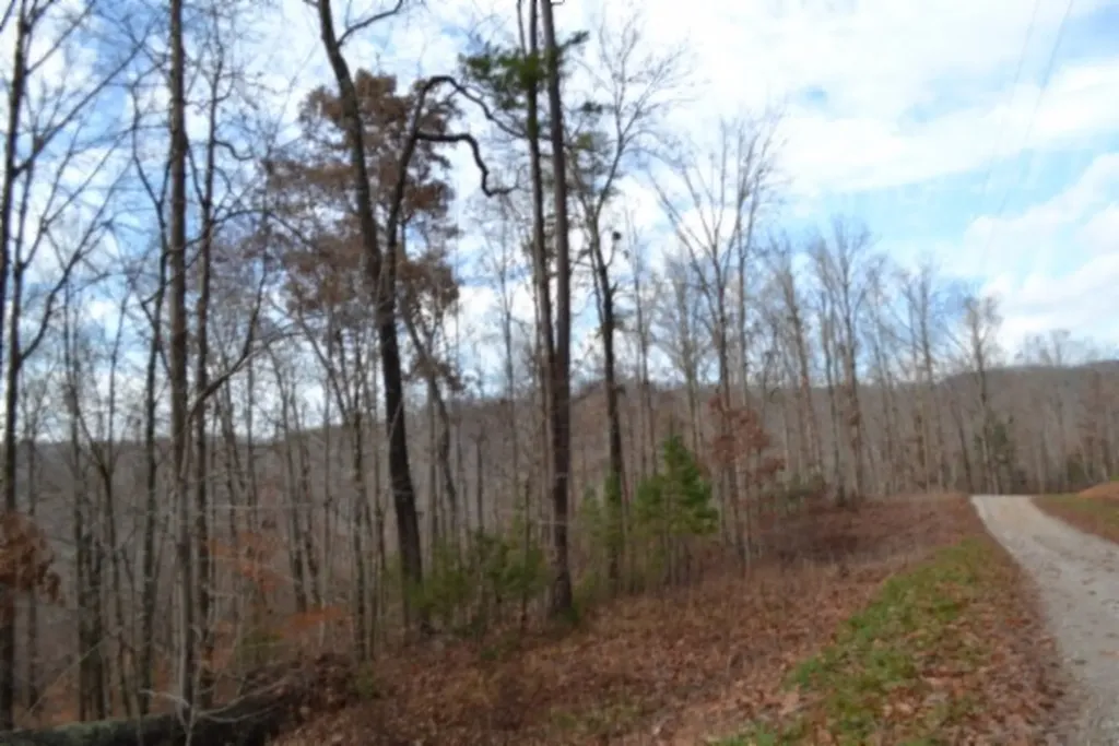Lot 75 Tomahawk Road Jamestown TN 38556