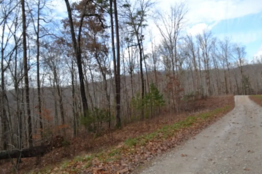Lot 75 Tomahawk Road Jamestown TN 38556