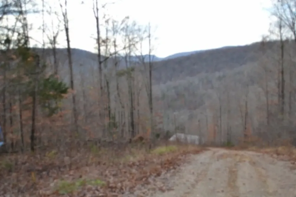 Lot 75 Tomahawk Road Jamestown TN 38556