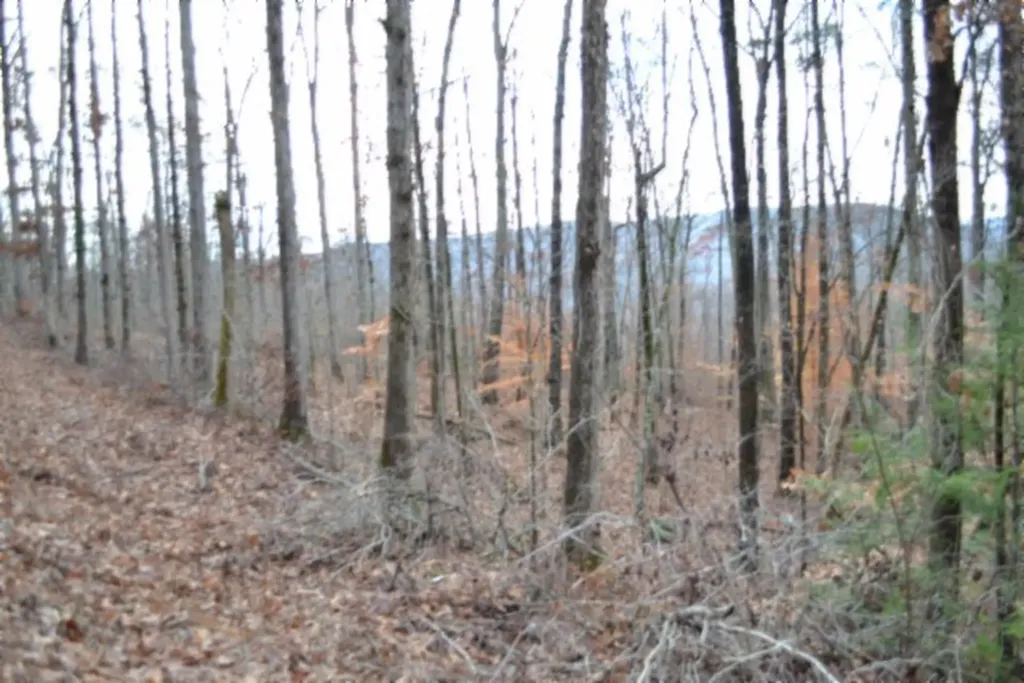 Lot 75 Tomahawk Road Jamestown TN 38556