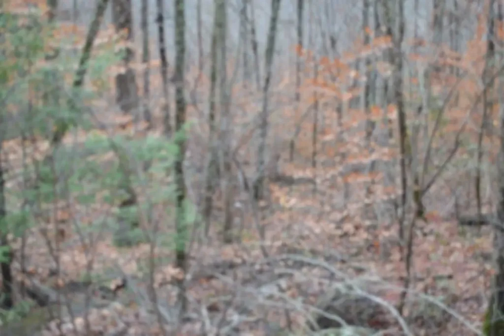 Lot 75 Tomahawk Road Jamestown TN 38556