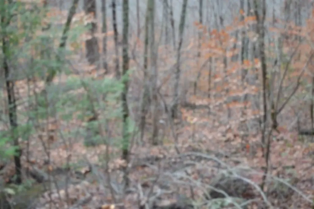 Lot 75 Tomahawk Road Jamestown TN 38556