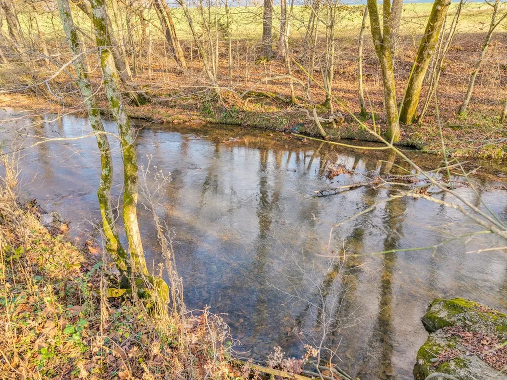 2221 Plunk Whitson Road Cookeville TN 38501