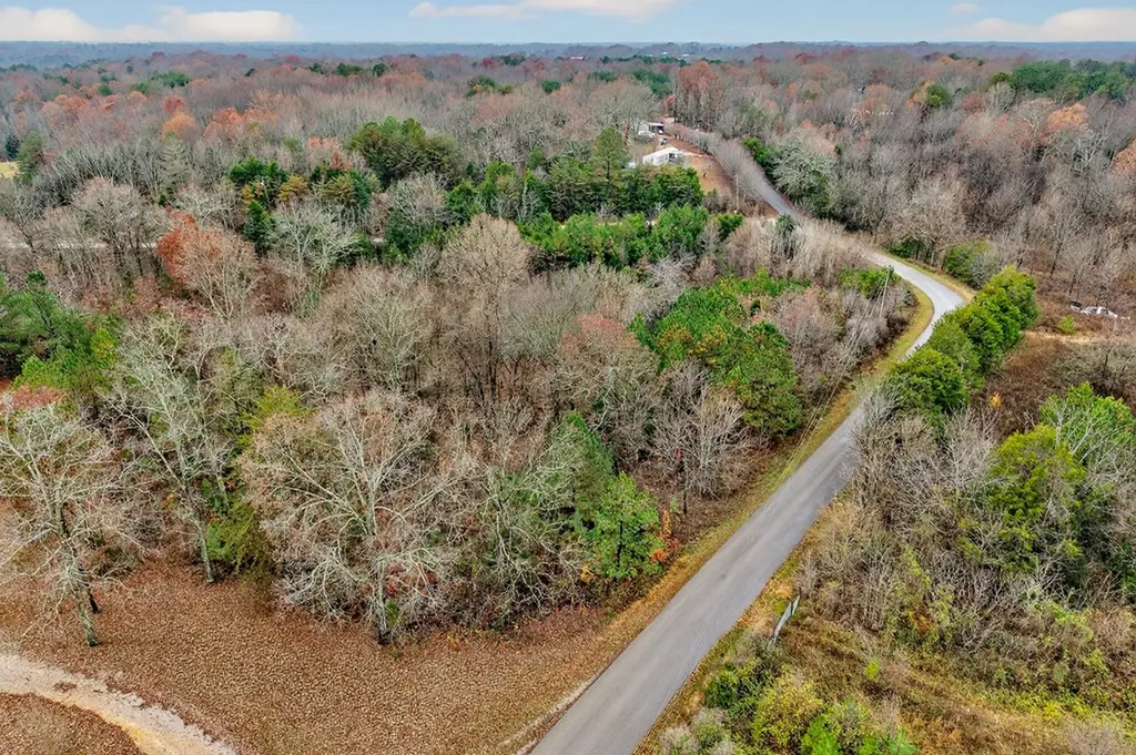 0 N Center Point Acres Walling TN 38587