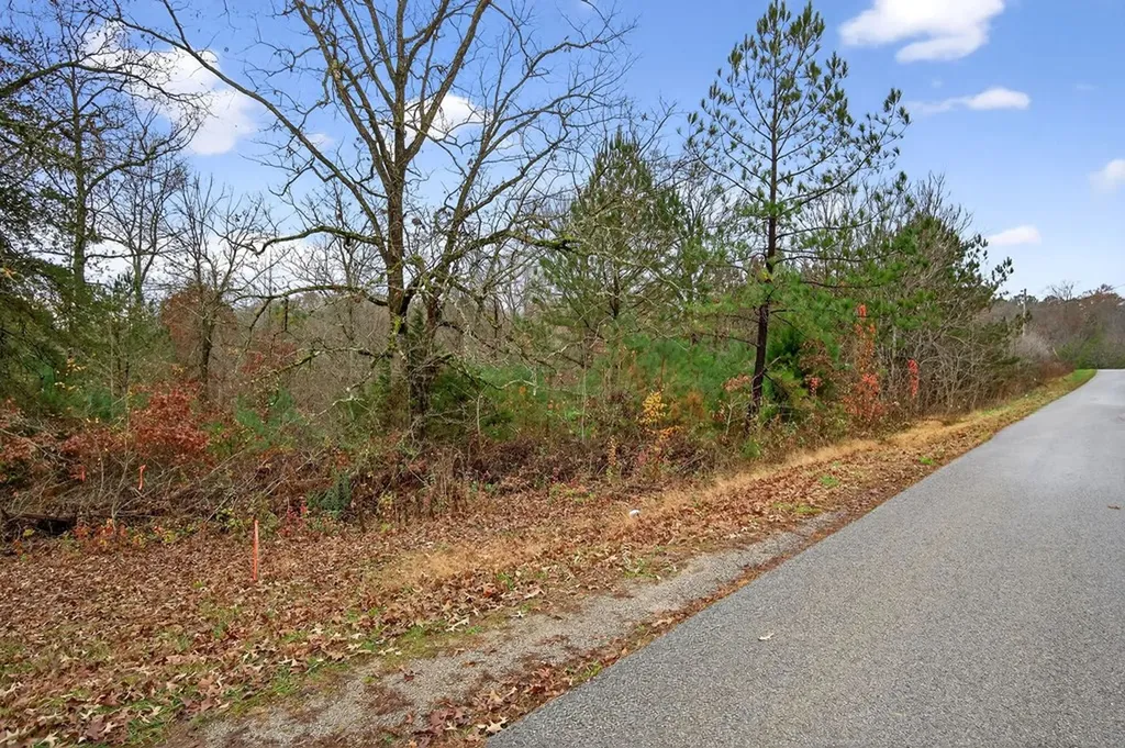 0 N Center Point Acres Walling TN 38587