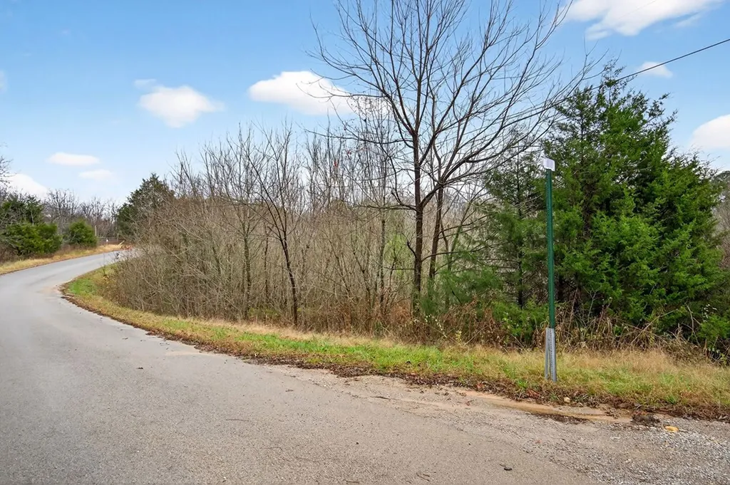 0 N Center Point Acres Walling TN 38587