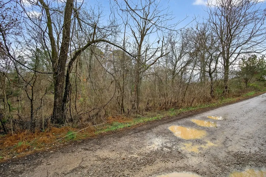 0 N Center Point Acres Walling TN 38587