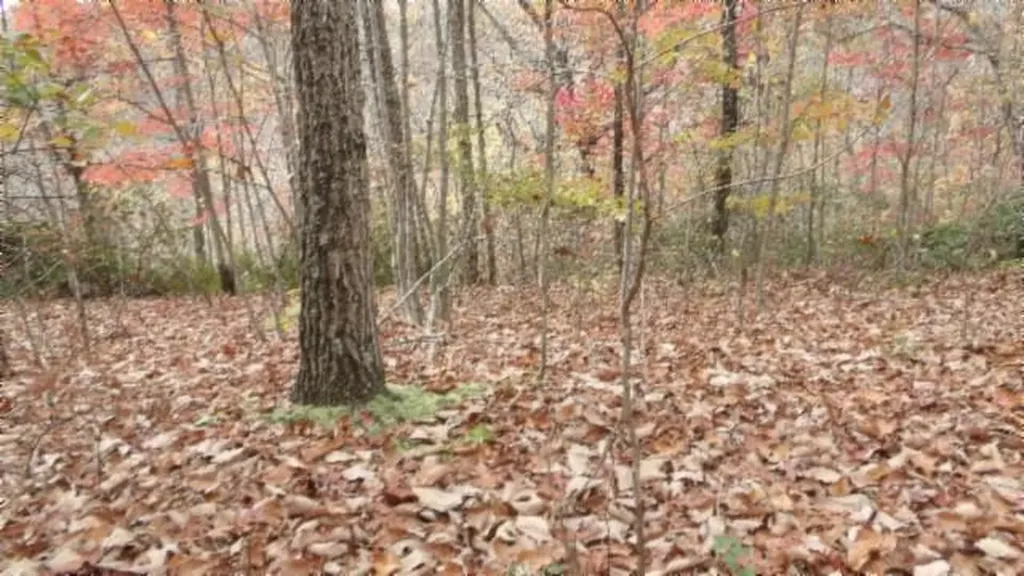 Lot 349 Drew Court Smithville TN 37166