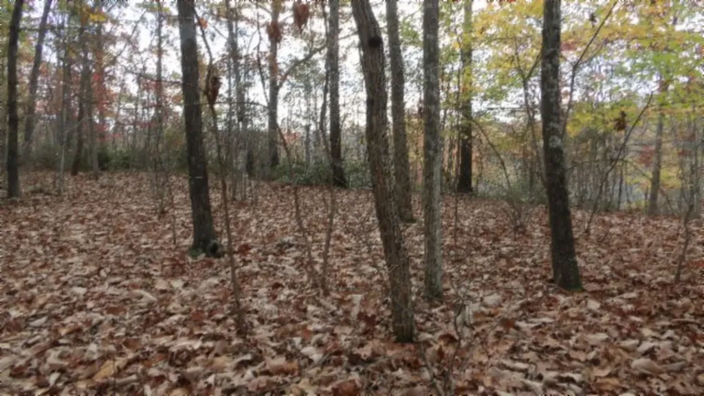 Lot 349 Drew Court Smithville TN 37166