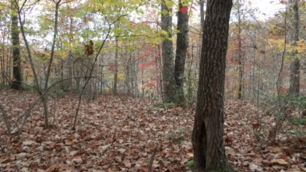 Lot 349 Drew Court Smithville TN 37166