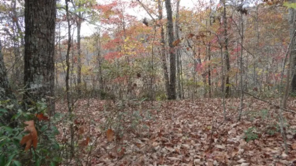 Lot 349 Drew Court Smithville TN 37166