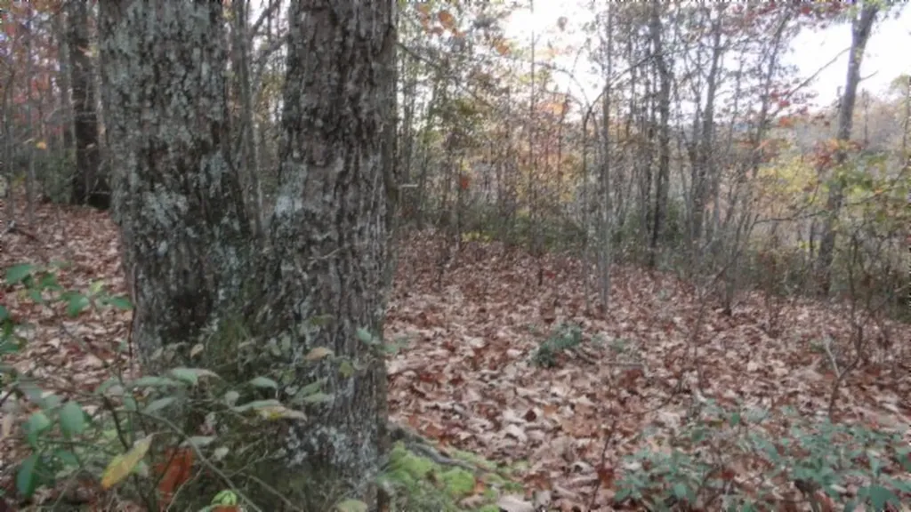 Lot 349 Drew Court Smithville TN 37166