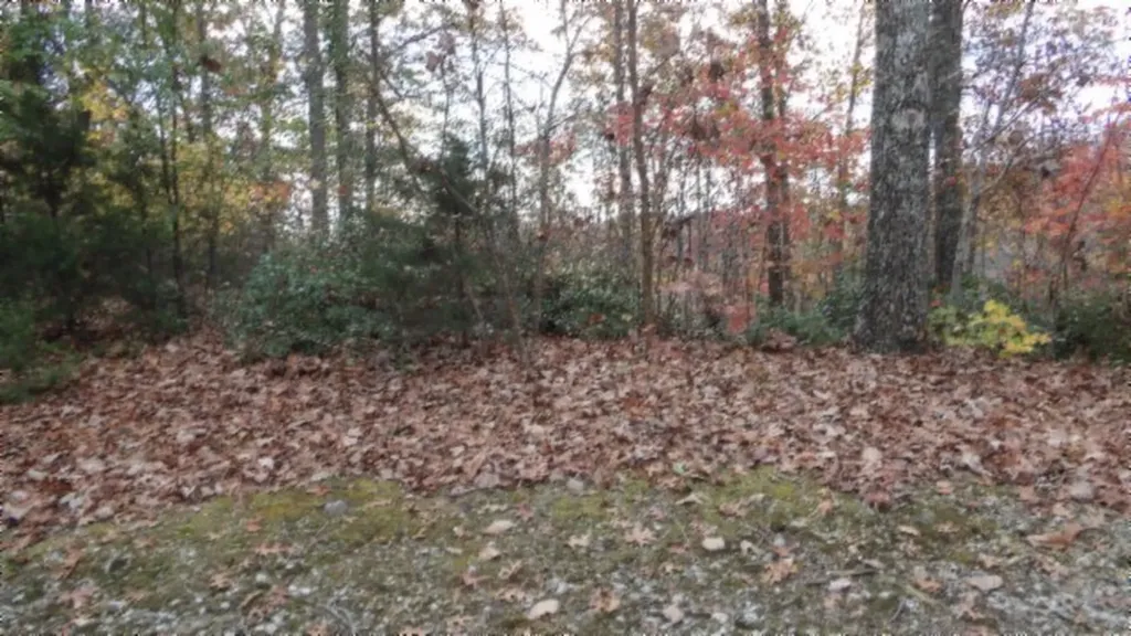 Lot 349 Drew Court Smithville TN 37166