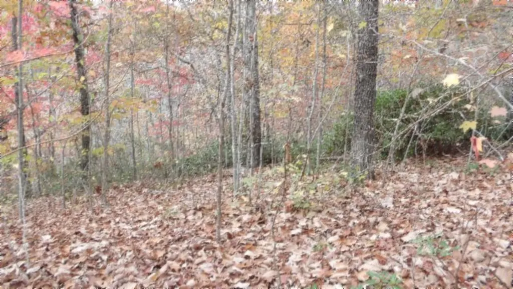 Lot 349 Drew Court Smithville TN 37166